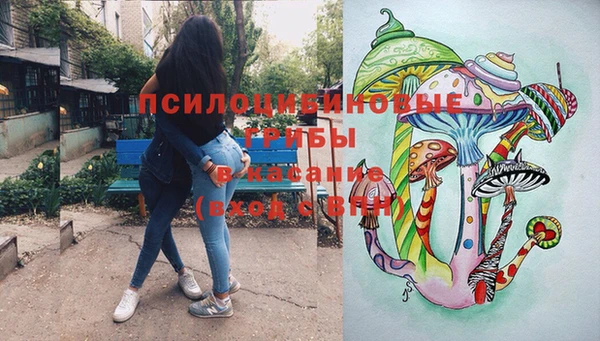 apvp Нефтекумск