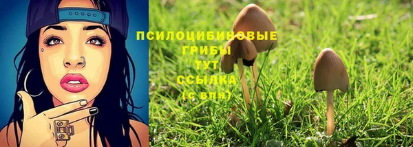 apvp Нефтекумск