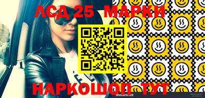 Альфа ПВП Аргун