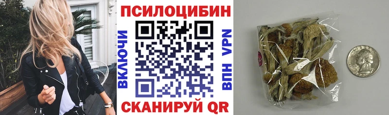 Псилоцибиновые грибы Psilocybine cubensis  OMG вход  Баксан 