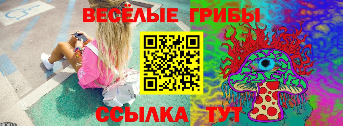 Баксан  Галлюциногенные грибы Psilocybe  наркотики  Вход с VPN 