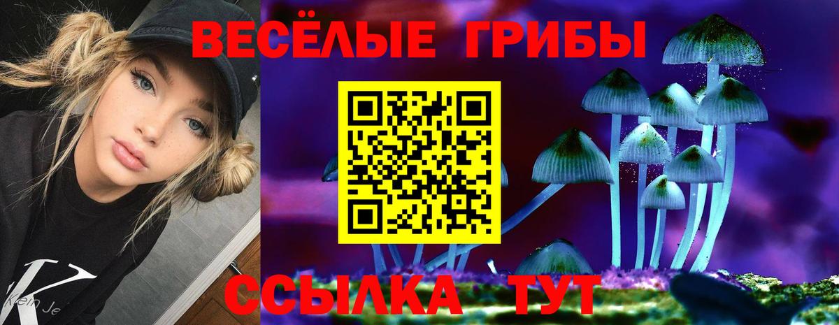 Галлюциногенные грибы MAGIC MUSHROOMS Баксан